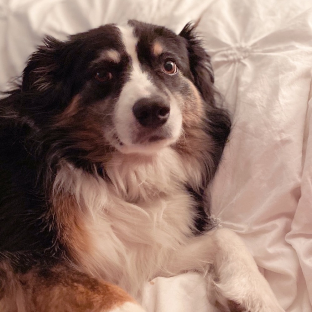 Meet your Posher, Zoe